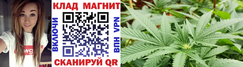 Купить закладку Alpha-PVP  МЕФ  Барыш