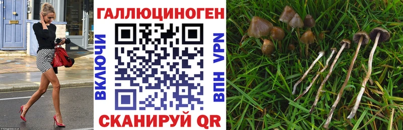 Псилоцибиновые грибы GOLDEN TEACHER  Купить  Барыш 